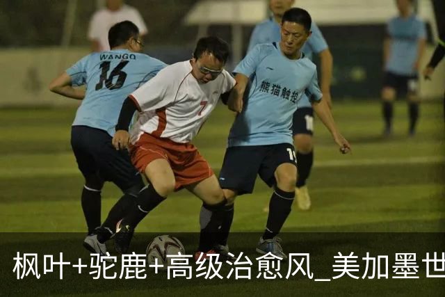 枫叶+驼鹿+高级治愈风 美加墨世界杯加拿大赛区开幕